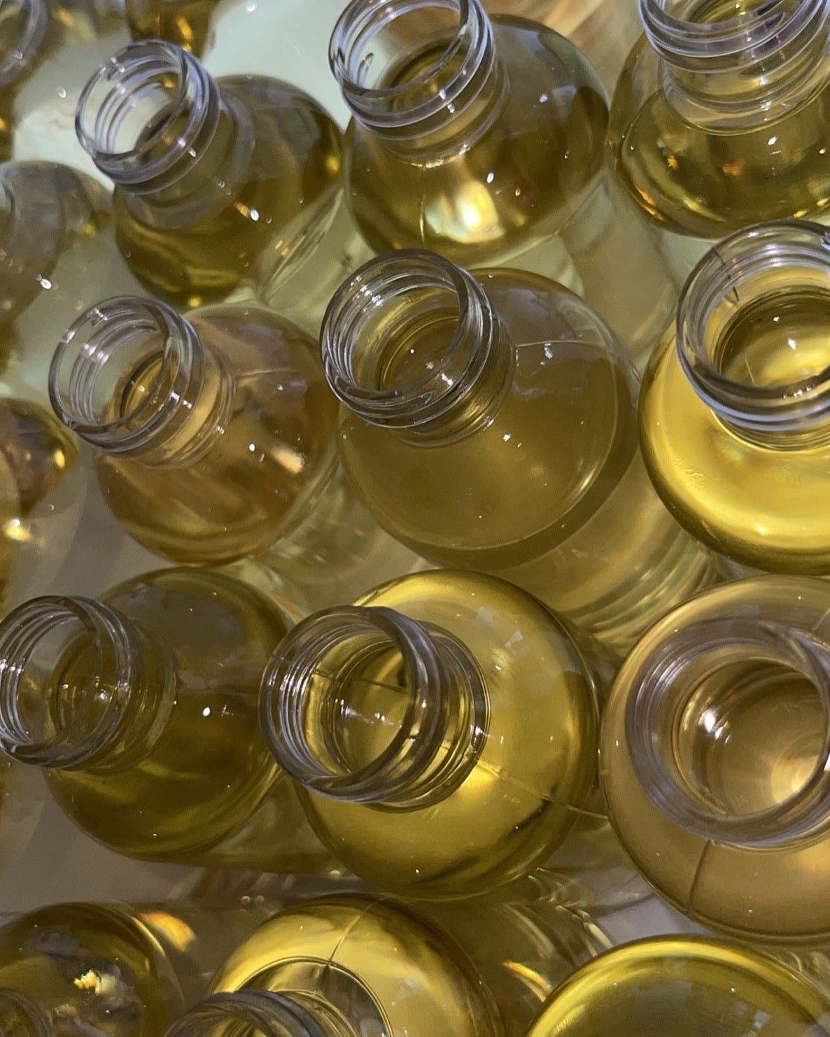 Body Oddy Oddy Oil